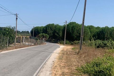 Terra a Palmela, Setubal, Palmela - € 260.000 | Ref: 149336 - foto 18