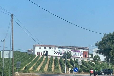 Terra a Palmela, Setubal, Palmela - € 260.000 | Ref: 149336 - foto 21