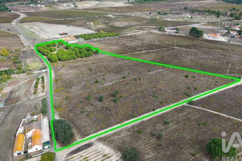 Terra a Palmela, Setubal, Palmela - € 260.000 | Ref: 149336 - foto 24