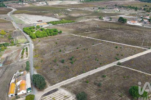 Terra a Palmela, Setubal, Palmela - € 260.000 | Ref: 149336 - foto 25