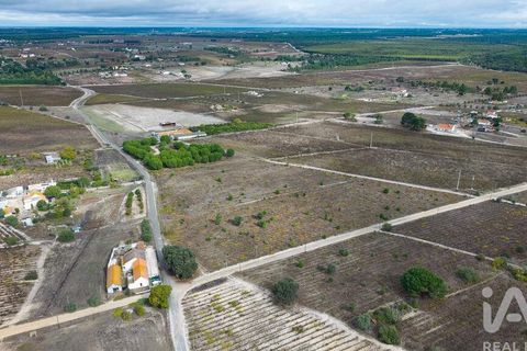 Terra a Palmela, Setubal, Palmela - € 260.000 | Ref: 149336 - foto 26