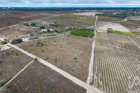 Terra a Palmela, Setubal, Palmela - € 260.000 | Ref: 149336 - foto 27
