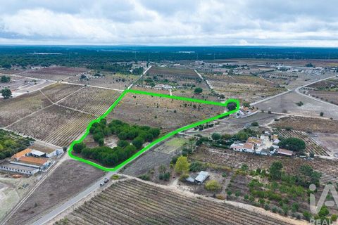 Terra a Palmela, Setubal, Palmela - € 260.000 | Ref: 149336 - foto 28