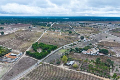 Terra a Palmela, Setubal, Palmela - € 260.000 | Ref: 149336 - foto 29