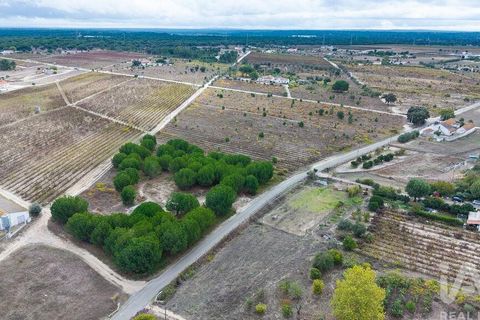 Terra a Palmela, Setubal, Palmela - € 260.000 | Ref: 149336 - foto 30