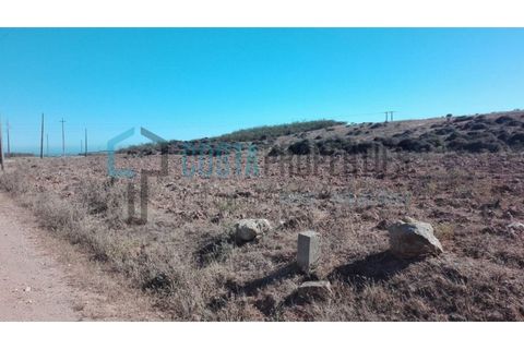 Helårsgrund i Sagres, Faro, Sagres - € 21.000 | Ref: CP-T1934 - foto 4