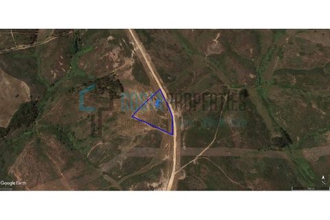 Helårsgrund i Sagres, Faro, Sagres - € 21.000 | Ref: CP-T1934 - foto 5