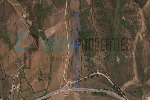 Helårsgrund i Sagres, Faro, Sagres - € 37.000 | Ref: CP-T1920 - foto 4