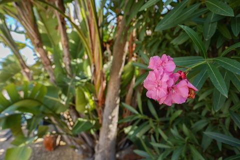 Villa i Javea, Alicante, Javea - € 765.000 | Ref: C4XY4578JAV - foto 35