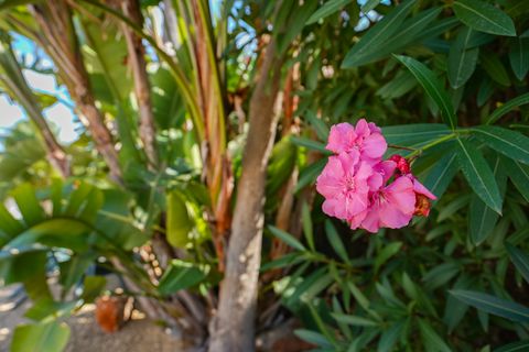 Villa i Javea, Alicante, Javea - € 765.000 | Ref: YHS32642Y - foto 35