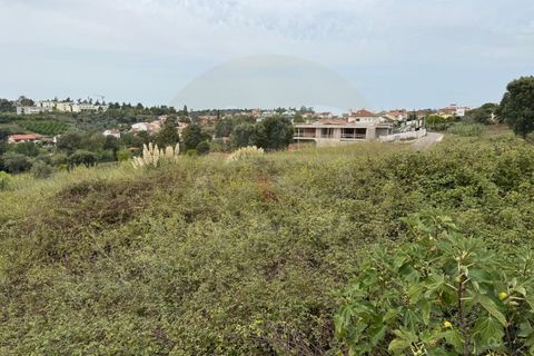 Helårsgrund i Coimbra, Coimbra, Coimbra - € 249.000 | Ref: AG98 - foto 7