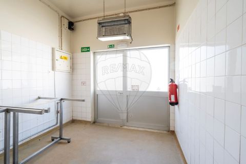Erhvervsejendom i Tomar, Santarem, Tomar - € 160.000 | Ref: 121701120-233 - foto 9