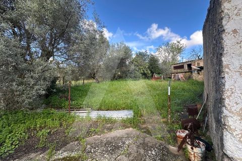 Villa i Boliqueime, Faro, Boliqueime - € 395.000 | Ref: 1230819/25VL - foto 8