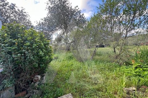 Villa i Boliqueime, Faro, Boliqueime - € 395.000 | Ref: 1230819/25VL - foto 16