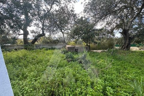 Villa i Boliqueime, Faro, Boliqueime - € 395.000 | Ref: 1230819/25VL - foto 18