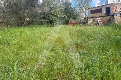 Villa i Boliqueime, Faro, Boliqueime - € 395.000 | Ref: 1230819/25VL - foto 22