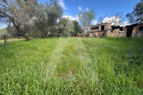 Villa i Boliqueime, Faro, Boliqueime - € 395.000 | Ref: 1230819/25VL - foto 23