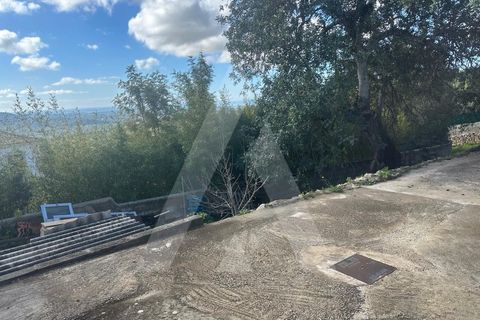 Villa i Boliqueime, Faro, Boliqueime - € 395.000 | Ref: 1230819/25VL - foto 25