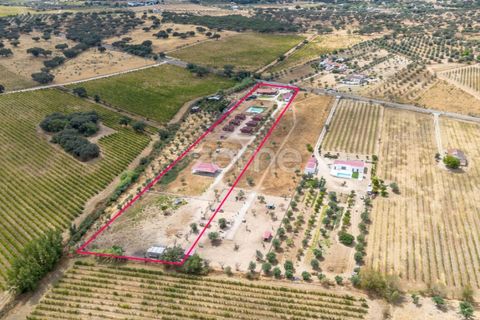 Farm i Redondo, Evora, Redondo - € 620.000 | Ref: ZMPT580860 - foto 37