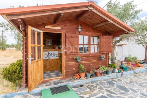 Farm i Redondo, Evora, Redondo - € 620.000 | Ref: ZMPT580860 - foto 14