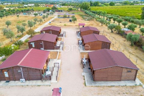 Farm i Redondo, Evora, Redondo - € 620.000 | Ref: ZMPT580860 - foto 29