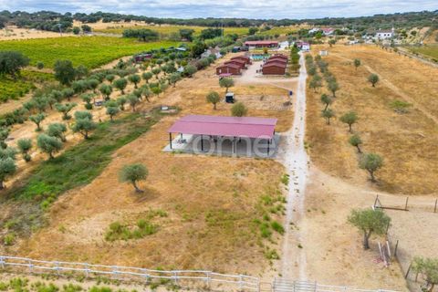 Farm i Redondo, Evora, Redondo - € 620.000 | Ref: ZMPT580860 - foto 31
