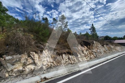 Helårsgrund i Abraveses, Viseu, Abraveses - € 60.000 | Ref: 1180581/25VS - foto 6
