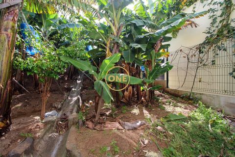 Byhus i Camara de Lobos, Madeira, Camara de Lobos - € 400.000 | Ref: MN000471 - foto 13