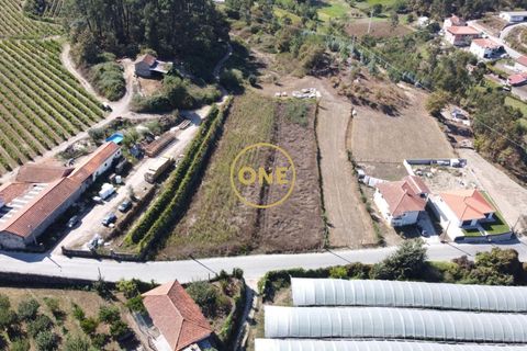 Tomt i Santo Tirso, Porto, Santo Tirso - € 52 000 | Ref: ONE541873-3 - foto 5