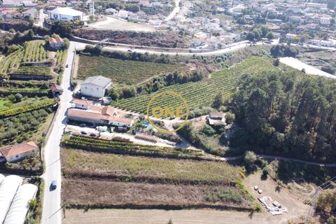 Tomt i Santo Tirso, Porto, Santo Tirso - € 52 000 | Ref: ONE541873-3 - foto 6
