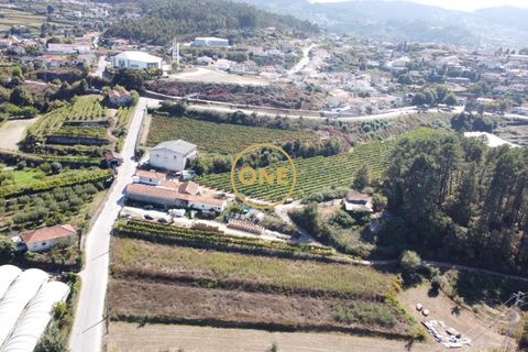 Tomt i Santo Tirso, Porto, Santo Tirso - € 52 000 | Ref: ONE541873-3 - foto 8
