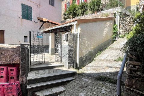 Villa a Ranzo, Imperia, Ranzo - € 100.000 | Ref: 982 - foto 27