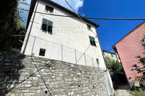 Villa a Ranzo, Imperia, Ranzo - € 100.000 | Ref: 982 - foto 29
