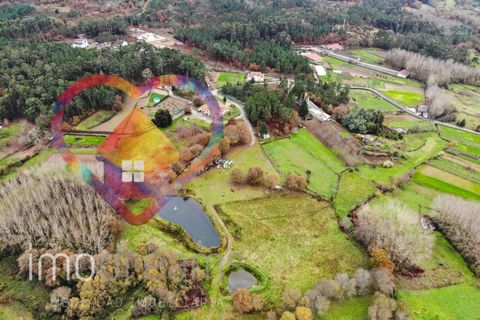 Farm i Viseu, Viseu, Viseu - € 650.000 | Ref: 1786_QU - foto 2