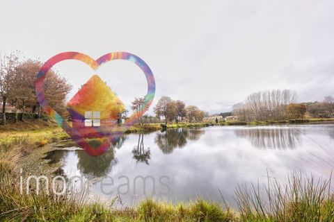 Farm i Viseu, Viseu, Viseu - € 650.000 | Ref: 1786_QU - foto 24