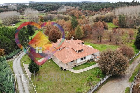 Farm i Viseu, Viseu, Viseu - € 650.000 | Ref: 1786_QU - foto 25