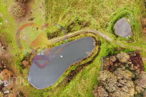 Farm i Viseu, Viseu, Viseu - € 650.000 | Ref: 1786_QU - foto 29