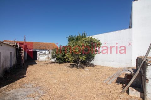 Helårsgrund i Vila Cha de Ourique, Santarem, Vila Cha de Ourique - € 70.000 | Ref: 202003013 - foto 2