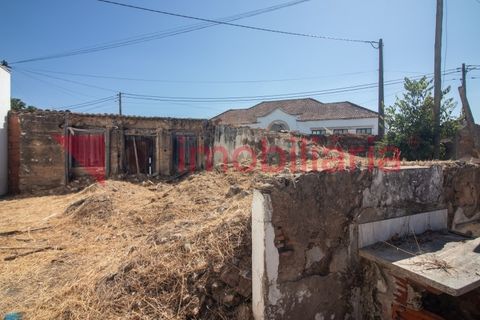 Helårsgrund i Vila Cha de Ourique, Santarem, Vila Cha de Ourique - € 70.000 | Ref: 202003013 - foto 5