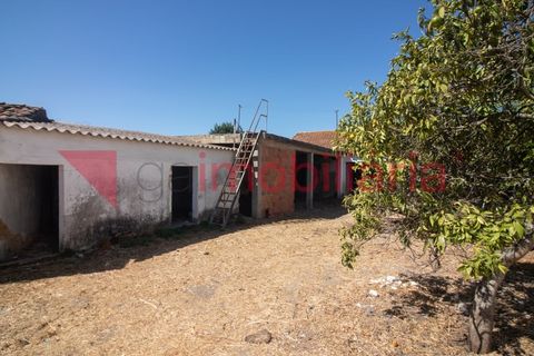 Helårsgrund i Vila Cha de Ourique, Santarem, Vila Cha de Ourique - € 70.000 | Ref: 202003013 - foto 6