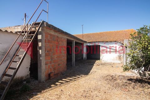 Helårsgrund i Vila Cha de Ourique, Santarem, Vila Cha de Ourique - € 70.000 | Ref: 202003013 - foto 7