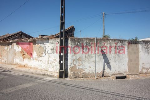 Villa i Vila Cha de Ourique, Santarem, Vila Cha de Ourique - € 50.000 | Ref: 201003013 - foto 4