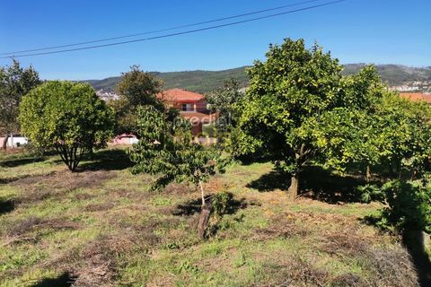 Terra a Mogege, Braga, Mogege - € 75.000 | Ref: 1107 - foto 2