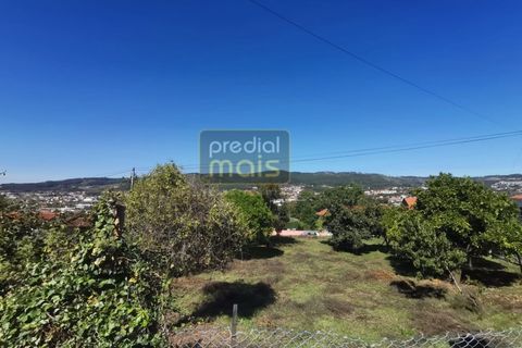 Terra a Mogege, Braga, Mogege - € 75.000 | Ref: 1107 - foto 3