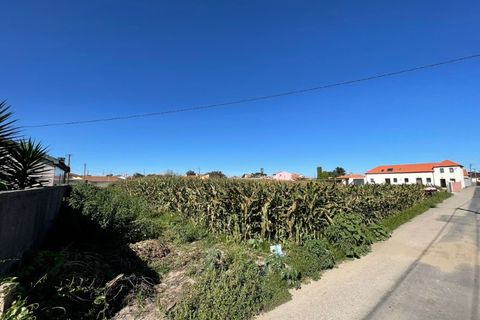 Helårsgrund i Murtosa, Aveiro, Murtosa - € 40.000 | Ref: 585 - foto 2
