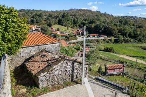 Villa i Terras de Bouro, Braga, Terras de Bouro - € 34.500 | Ref: 01-3699 - foto 10
