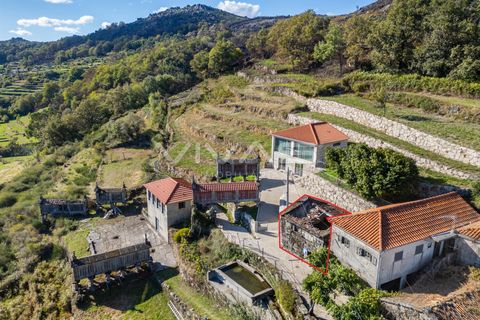 Villa i Terras de Bouro, Braga, Terras de Bouro - € 34.500 | Ref: 01-3699 - foto 17