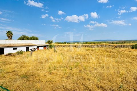 Villa i Crato, Portalegre, Crato - € 350.000 | Ref: CAS_309 - foto 46