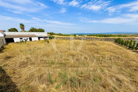 Villa i Crato, Portalegre, Crato - € 350.000 | Ref: CAS_309 - foto 48