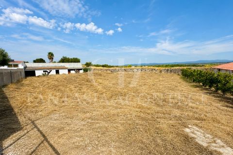 Villa i Crato, Portalegre, Crato - € 350.000 | Ref: CAS_309 - foto 49